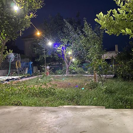 Garden Apartment Mjt Mytilíni 외부 사진